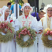 VI. Otické zelné slavnosti